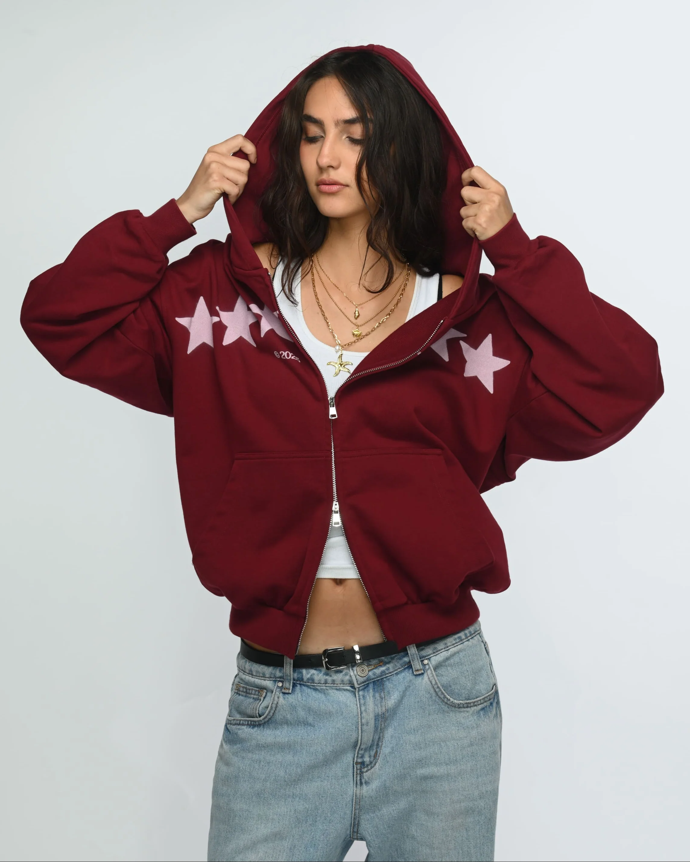 Starbound Zipper